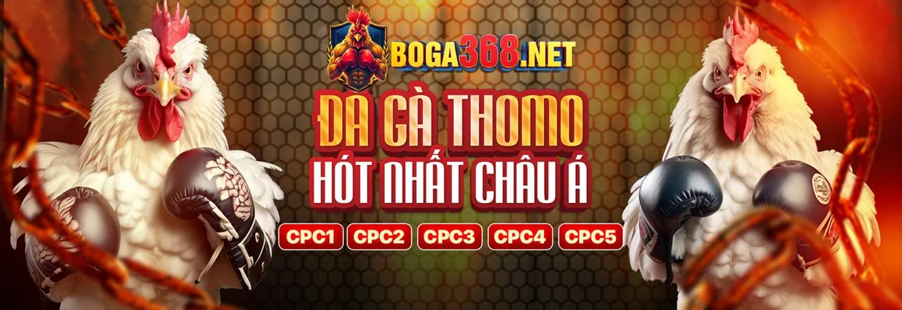 Hình ảnh chủ đề Tuân thủ GDPR của daga88 net