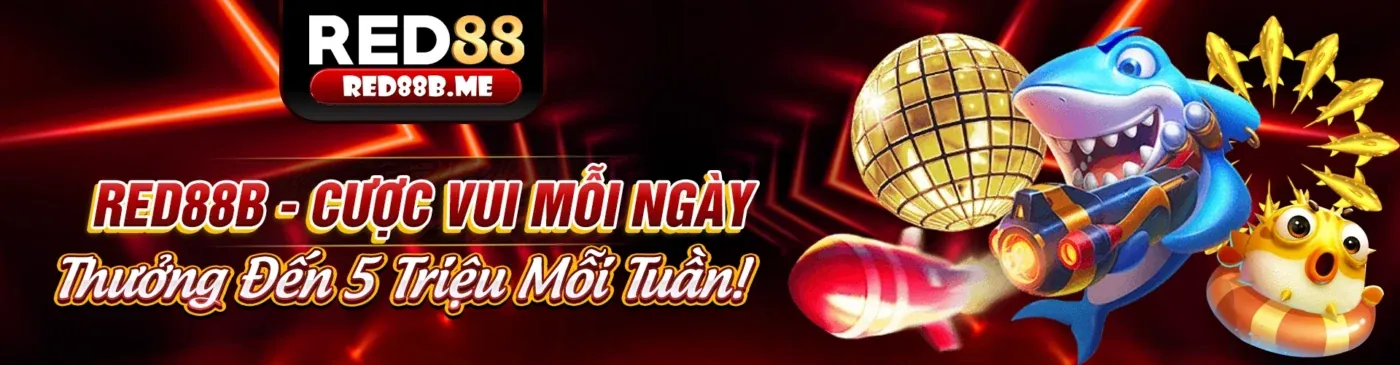Điều khoản và Điều kiện của Daga88 Net