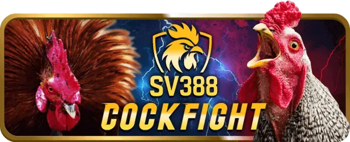 Đá Gà Cựa Sắt daga88 net